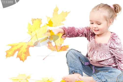 Image of Toddler with maple leaves