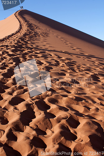 Image of red dunes of sossusvlei