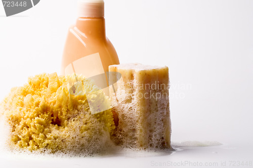 Image of soap, natural sponge and shower gel
