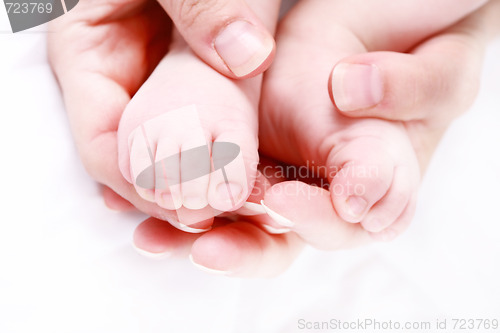 Image of Newborn