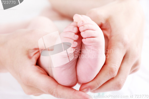 Image of Newborn