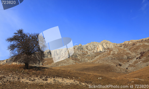 Image of Trascau Mountains,Romania