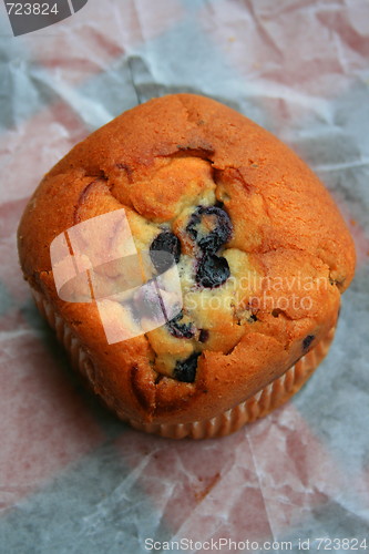 Image of Raisin Muffin