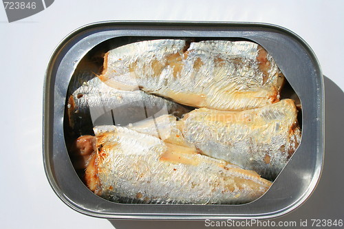 Image of Sardines in a Can