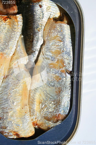 Image of Sardines in a Can