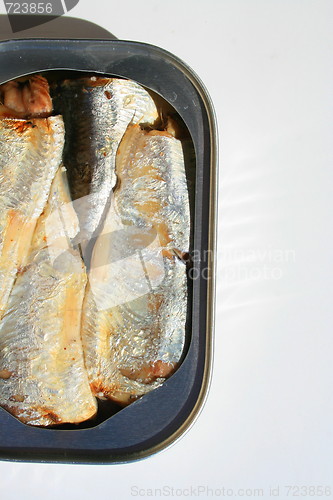 Image of Sardines in a Can