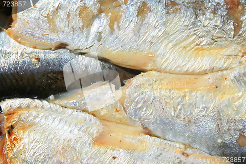 Image of Sardines in a Can