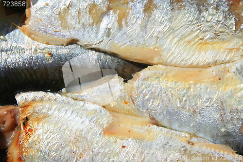 Image of Sardines in a Can