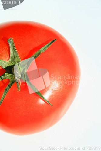 Image of Red Tomato