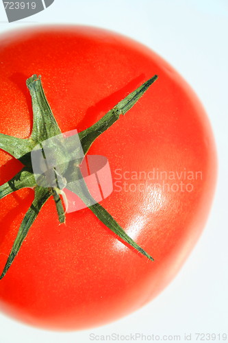 Image of Red Tomato