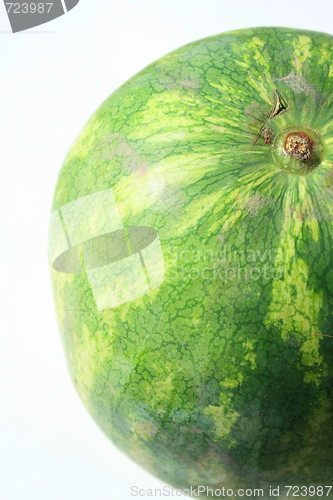 Image of Watermelon