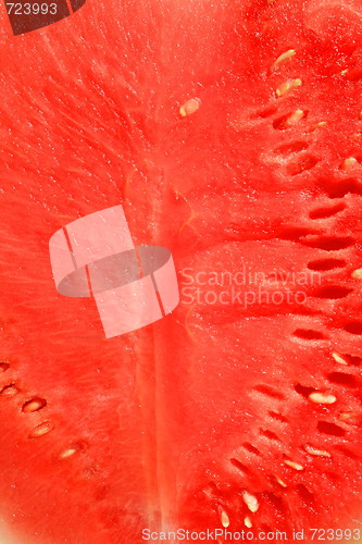 Image of Watermelon