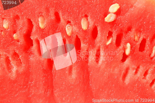 Image of Watermelon