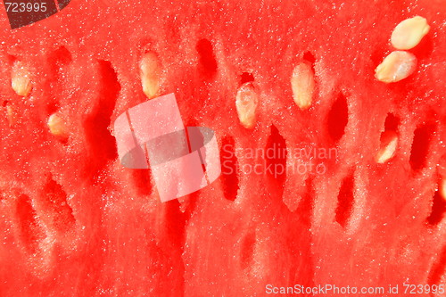 Image of Watermelon