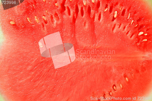 Image of Watermelon