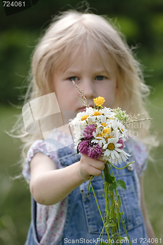 Image of wild flowers