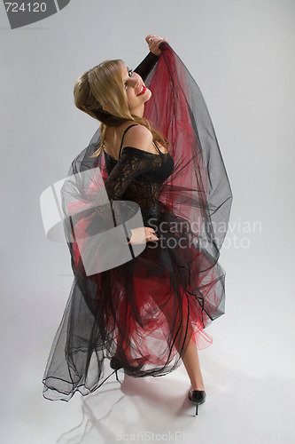 Image of Beautiful girl in diaphanous dress