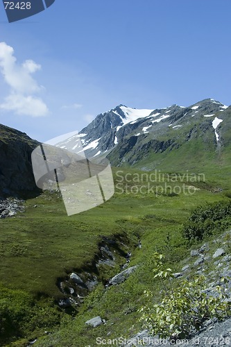 Image of Mountain vegetation