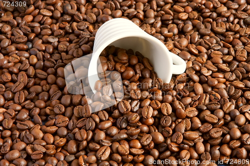 Image of  a cup filled with coffee beans