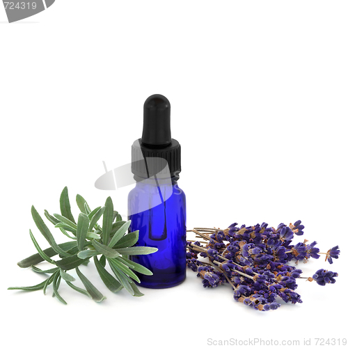 Image of Lavender Herb Essence