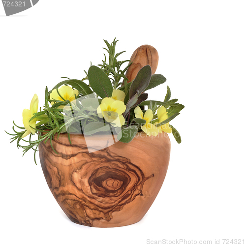 Image of Culinary Herbs and Flowers