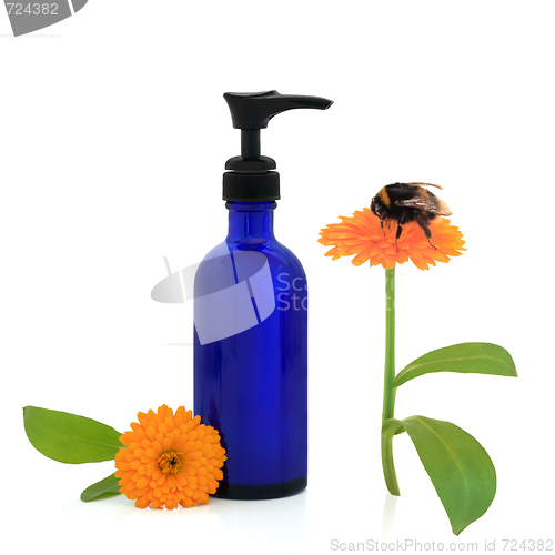 Image of  Marigold Cream and Bumblebee