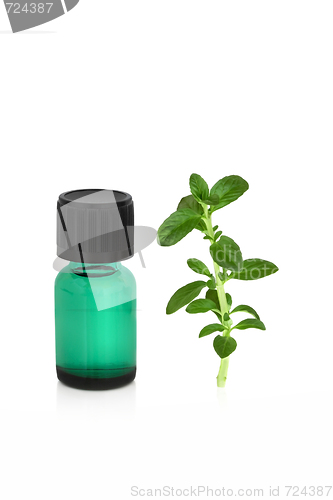 Image of Peppermint Leaf and Essence 