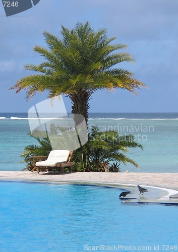 Image of By the pool with sea in the background