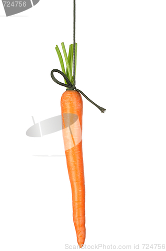 Image of Carrot