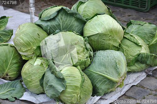 Image of Cabbage