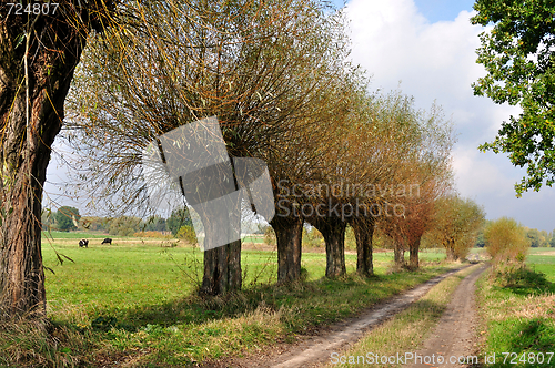 Image of Polish Landscape