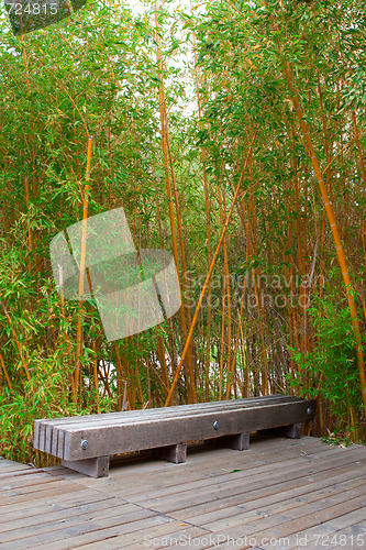 Image of Bamboo forest in a park 