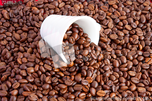 Image of  a cup filled with coffee beans