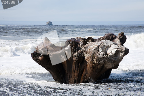 Image of La Push Beach, Washington