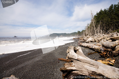 Image of La Push Beach