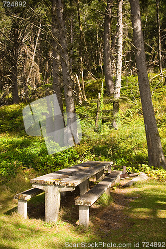 Image of Picnic Table in Forks Washington