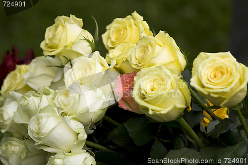 Image of Roses