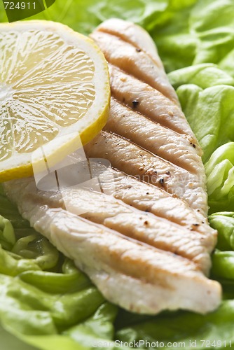 Image of Chicken
