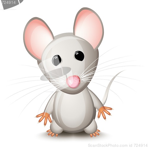 Image of Little gray mouse