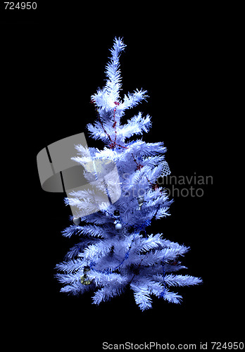 Image of christmas tree