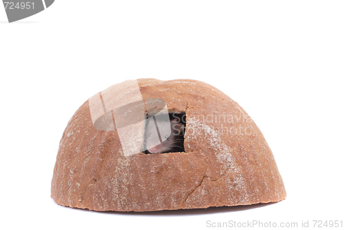 Image of mouse and the bread