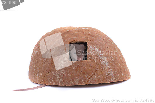 Image of mouse and the bread