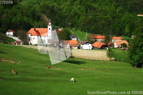 Image of country life