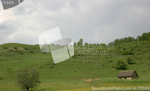 Image of scenery with shed