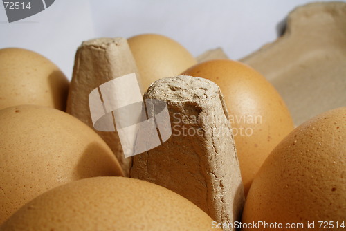 Image of egg, box