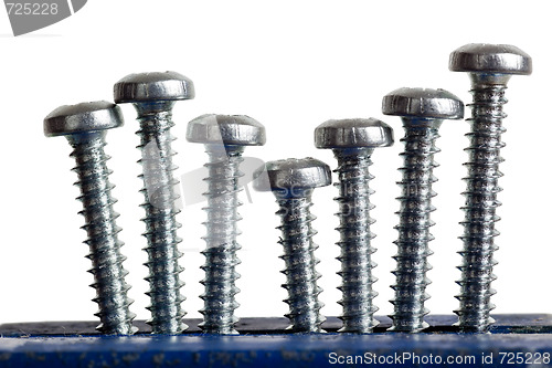 Image of Rows of screws