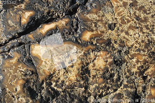 Image of Grunge Stone Texture