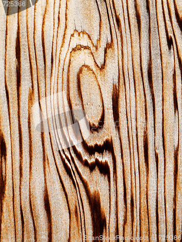 Image of Wood pattern