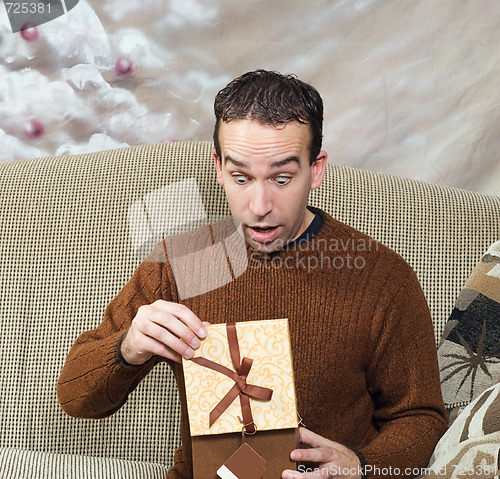 Image of Christmas Surprise