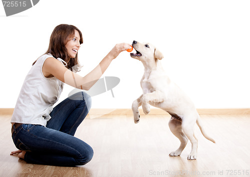 Image of Playing with a puppy